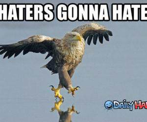 FO SHO funny picture