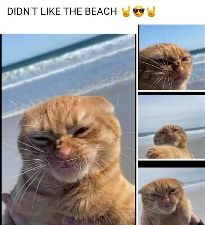 hates the beach