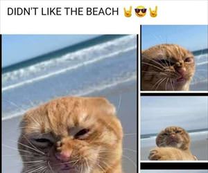 hates the beach