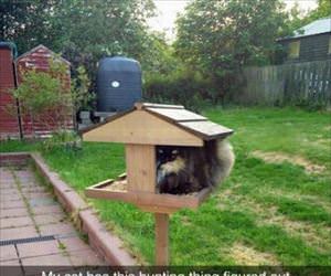 have this thing figured out