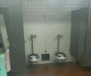 have to give 2 shits