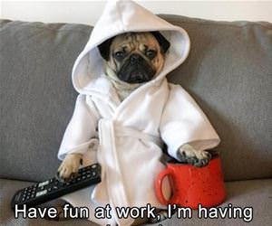 have fun at work today funny picture