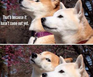 have you heard of it funny picture