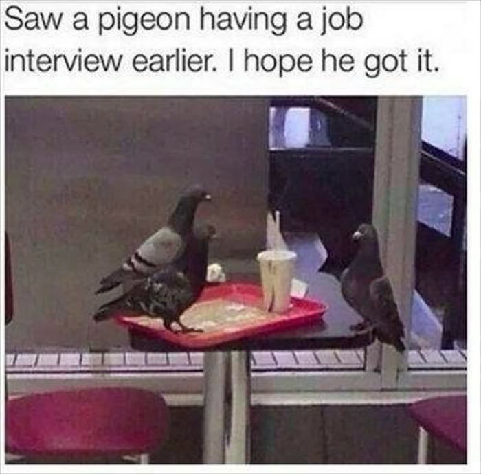 having a job interview