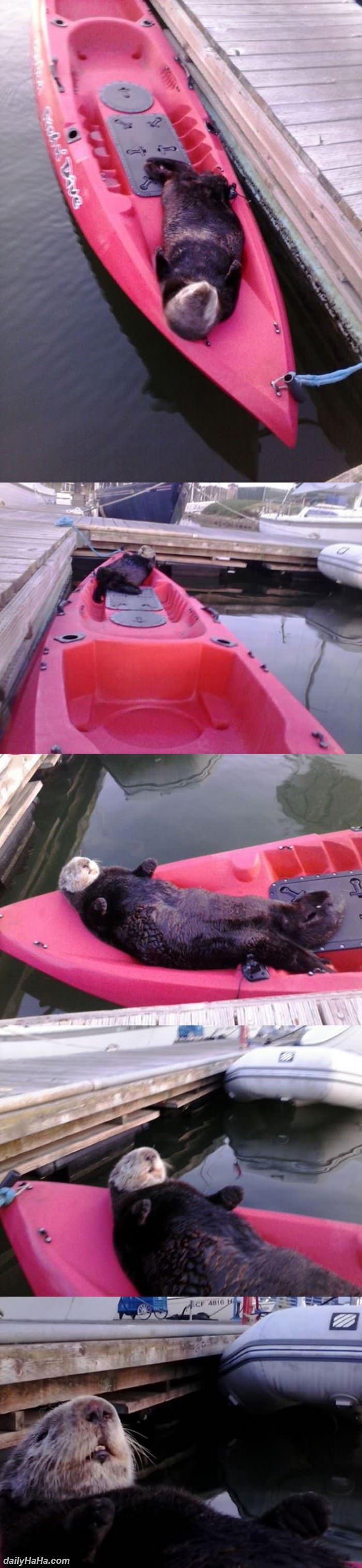 having a nice relaxed day funny picture