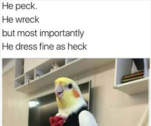 he peck