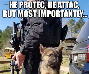 he protect