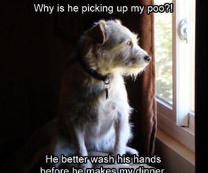 he better wash his hands funny picture