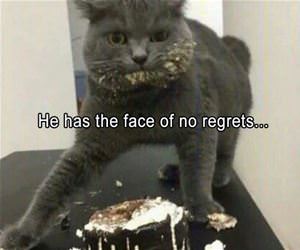 he has the face of no regrets funny picture