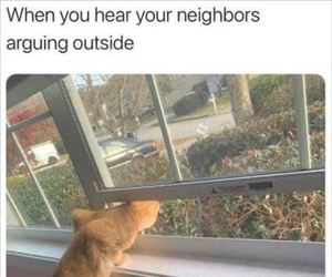 hear them outside
