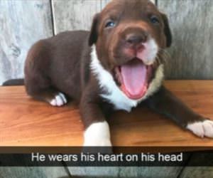 heart on his head