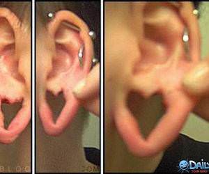 Heart Shaped Ear