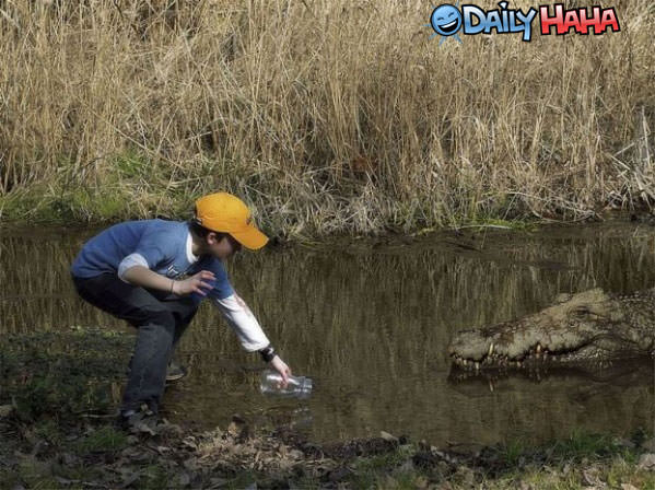 Kid Loves gators Funny Pic