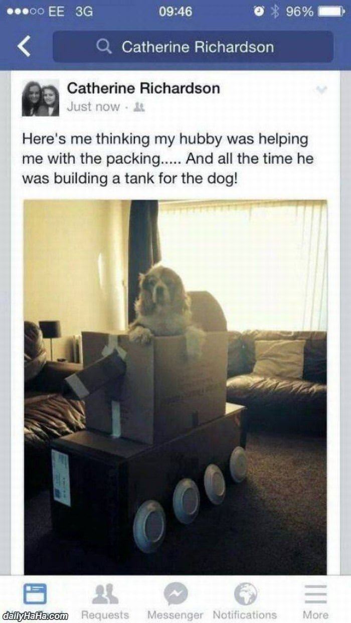 helping me pack funny picture