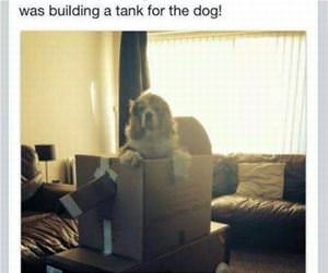 helping me pack funny picture