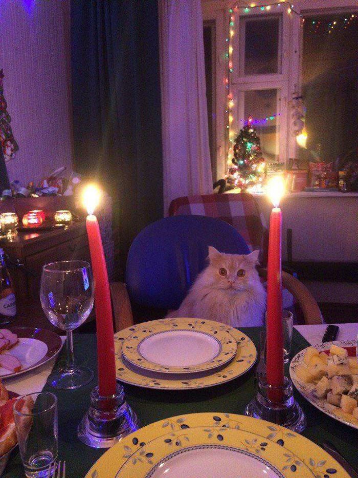 here for a fancy dinner