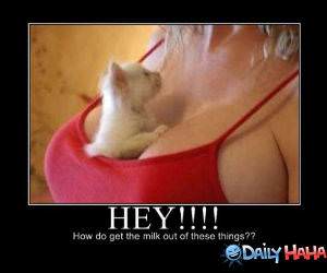 Hey There funny picture