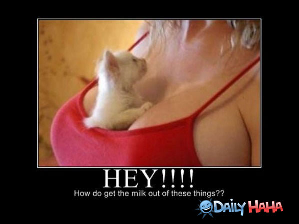 Hey There funny picture