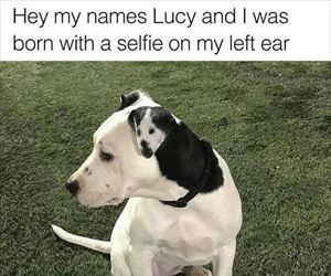 hi my name is lucy