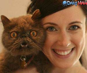 HIlarious Looking Cat