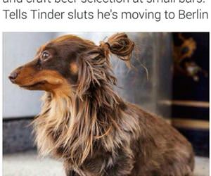 hipster tim funny picture