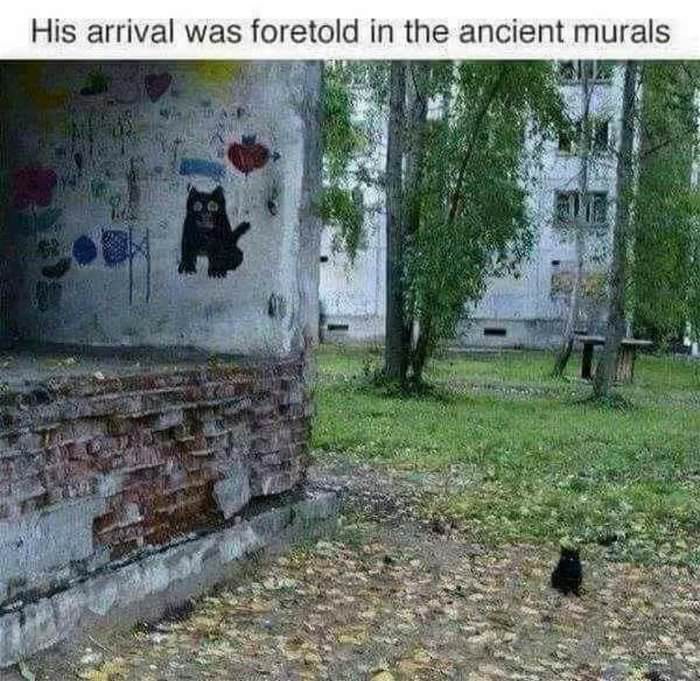 his arrival was fortold