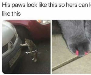 his paws look like this