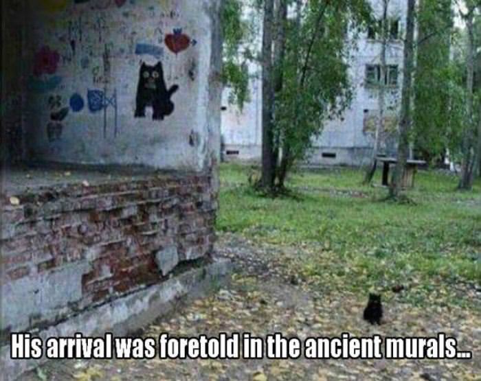 his arrival was foretold funny picture