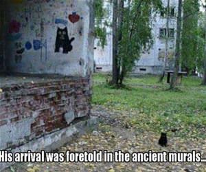 his arrival was foretold funny picture