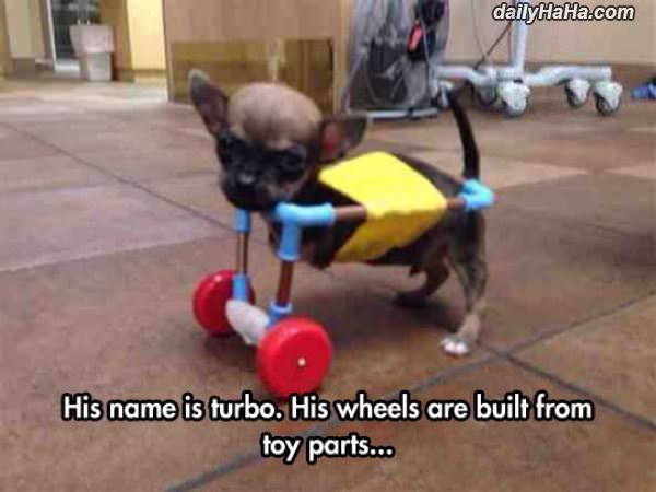 his name is turbo funny picture