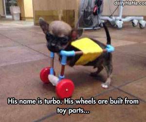 his name is turbo funny picture