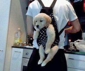 his time out spot funny picture