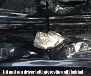 hit and run funny picture