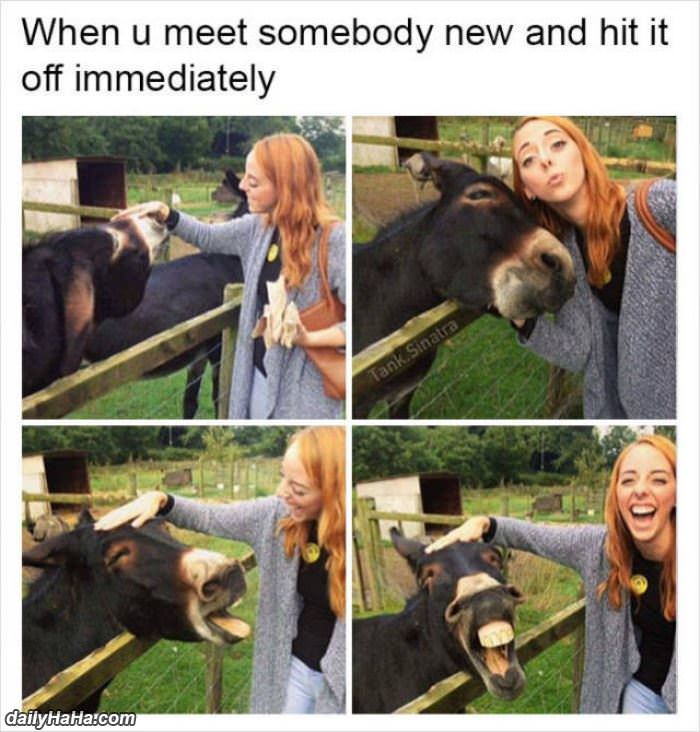 hit it off immediately funny picture