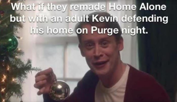 home alone purge