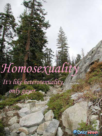 Homosexuality