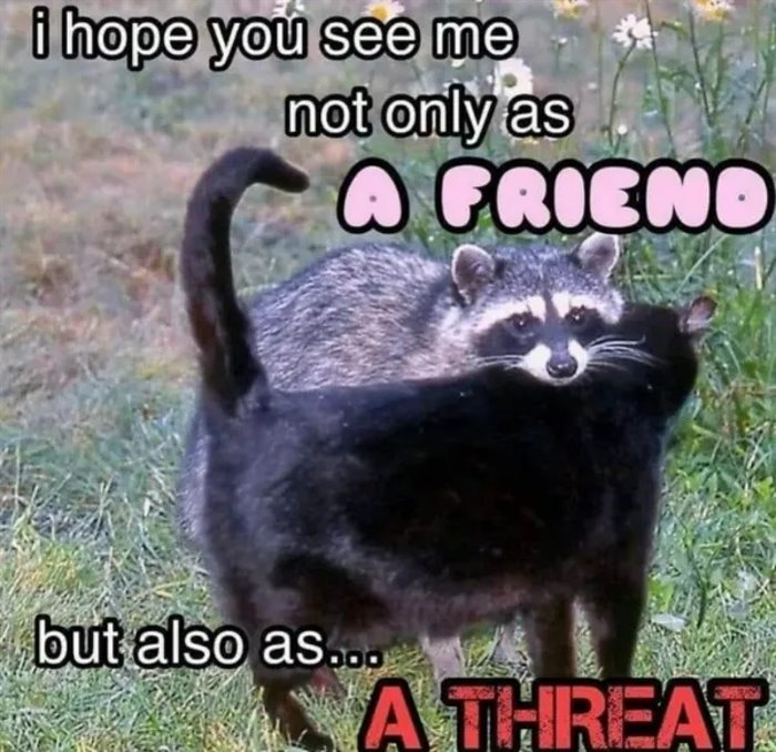 hope you see me