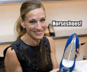 Horse Shoe funny picture