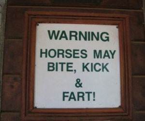 Horses May Fart