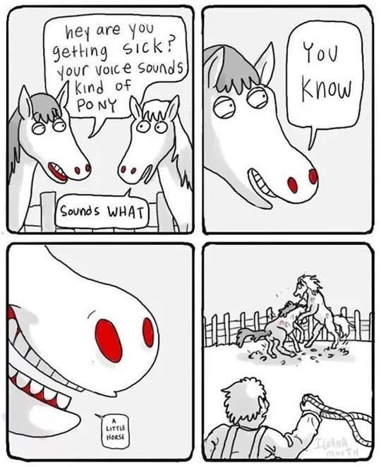 horsing around funny picture