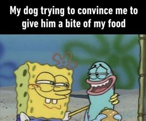 how about a little bite