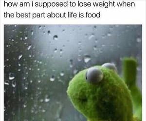 how am i supposed to lose weight