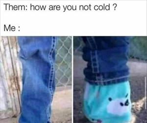 how are you not cold ... 2
