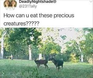 how can you eat these