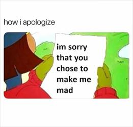 how i choose to apologize