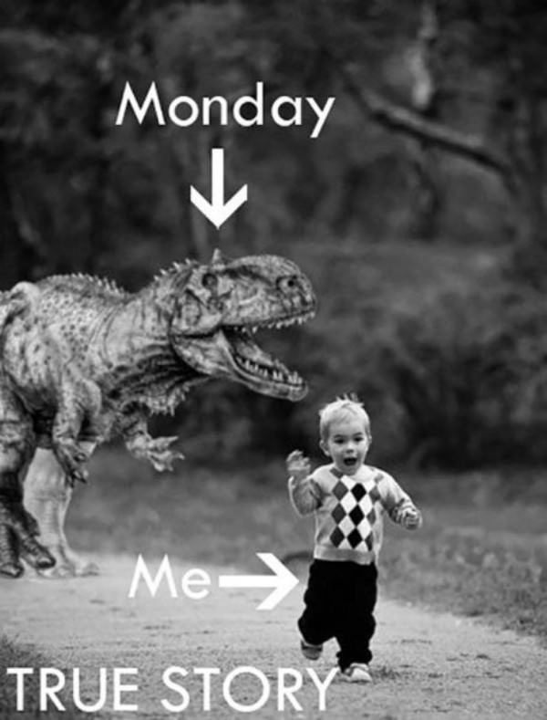 How Mondays Work funny pictures