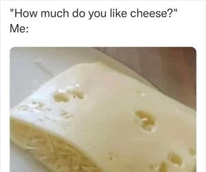 how much do you like cheese