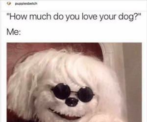 how much do you love your dog ... 2