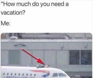 how much is this vacation