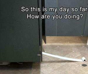 how my day is going ... 2